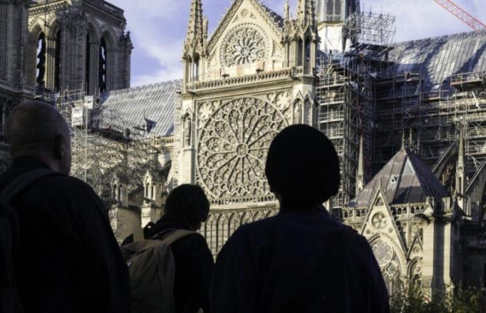 Brand in Notre-Dame de Paris: Mehrere Hypothesen, eine Untersuchung ist noch im Gange