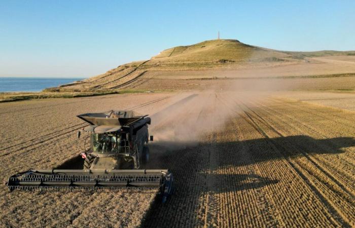 „Um landwirtschaftliche Familienbetriebe zu schützen, müssen wir Preise, Handel und Produktion neu regulieren“