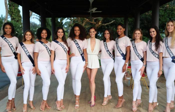 Eine verletzte Miss France nur wenige Tage vor der Wahl … Dem Verlassenwerden entgegen?