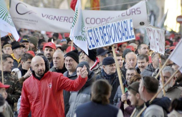 Wut der Winzer: Eine regionale Demonstration ist für Samstag, den 30. November geplant