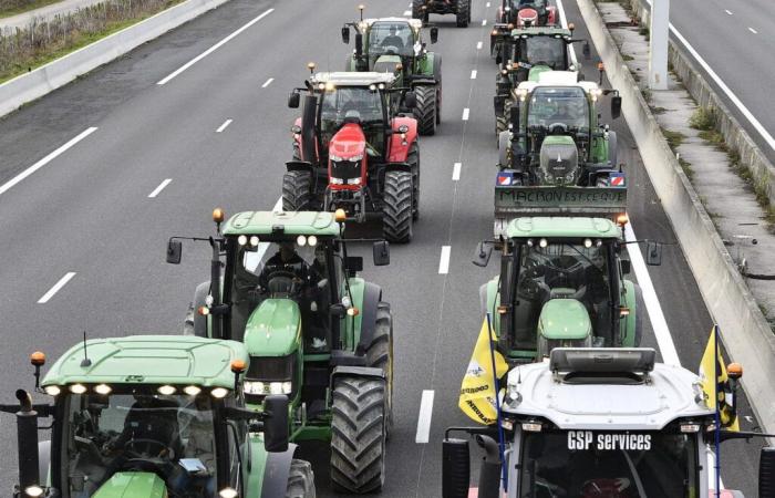 neue Aktionen bis Donnerstag! Ein Konvoi auf dem Weg nach Straßburg