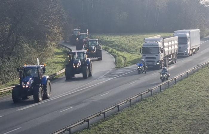 Eine riesige Traktorenkolonne fährt über die Autobahn Richtung Lille