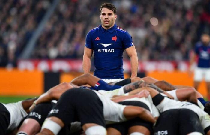 Rugby. Ein Frankreich-Neuseeland in den Vereinigten Staaten?