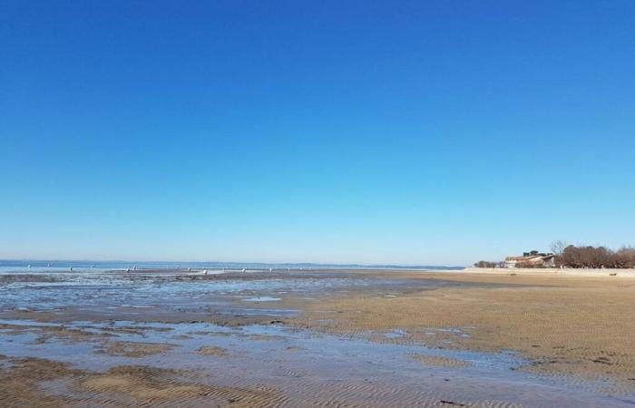 Der Dreißigjährige, der im Becken von Arcachon verschwunden war, wurde von Nachbarn im Schlamm gefunden