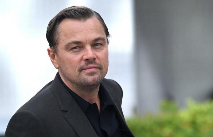 Leonardo DiCaprio verlobt? Das Gerücht versetzt die Fans des Schauspielers in Panik