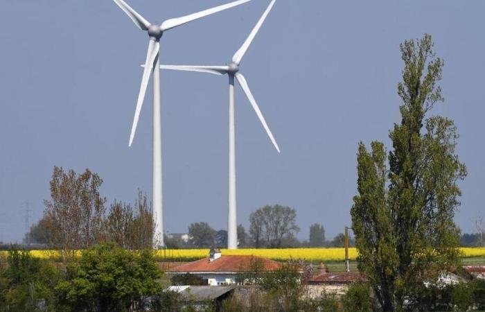 Lärmbelastung durch Windparks: Verbände appellieren an den Präfekten von Maine-et-Loire