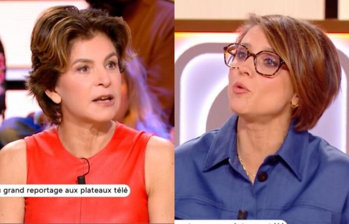 Anne Nivat verärgert über eine Frage zu ihrem Ehemann Jean-Jacques Bourdin auf France 5 (VIDEO)