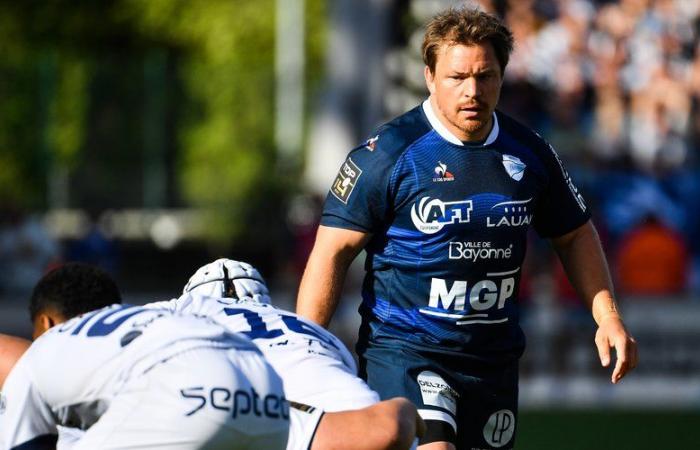 Transfers / Top 14 – Die Rückkehr von Torsten van Jaarsveld wurde von Bayonne offiziell gemacht