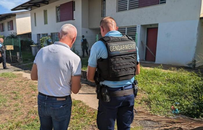 „Sicherheits“-Einsatz im Bezirk Frangipanier in Macouria