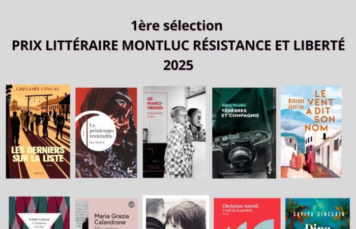 Erste Auswahl für den Literaturpreis Montluc Resistance and Freedom 2025