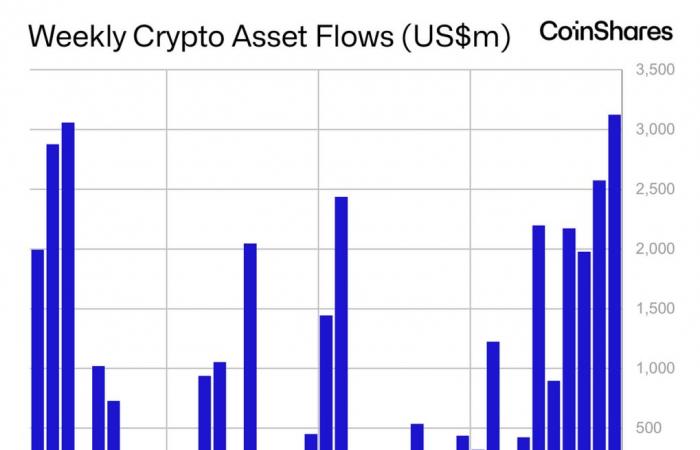 Band 210: Wochenbericht über Digital Asset Fund Flows | von James Butterfill | November 2024