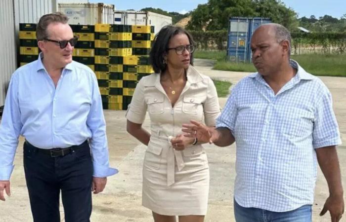 Guyana: Besuch des Präsidenten von UDE-MEDEF Guadeloupe, um Themen zu bündeln