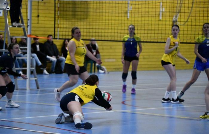 VOLLEYBALL: Nur die Männer von Le Creusot haben gewonnen… Die Frauen haben alles verloren…