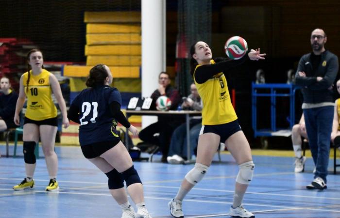 VOLLEYBALL: Nur die Männer von Le Creusot haben gewonnen… Die Frauen haben alles verloren…