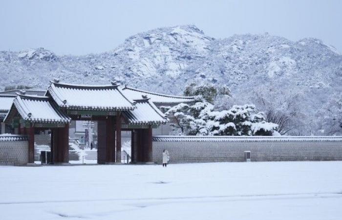 Der größte November-Schneesturm seit einem halben Jahrhundert trifft Seoul und setzt Flüge ab