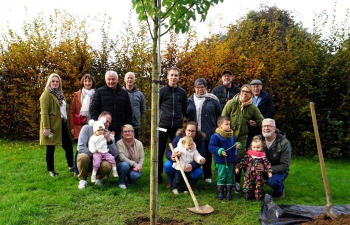 In Calvados feiert eine Gemeinde Geburten auf einem Baum!