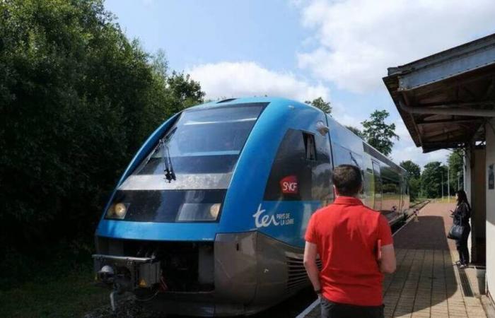 71,9 Millionen für die komplette Renovierung dieser kleinen Bahnstrecke zwischen Côtes-d’Armor und Finistère