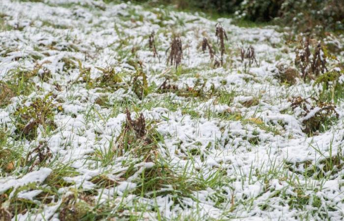 Die Temperaturen werden voraussichtlich auf -3 °C sinken, aber auf dem Weg dorthin wird das Wetter milder und feuchter