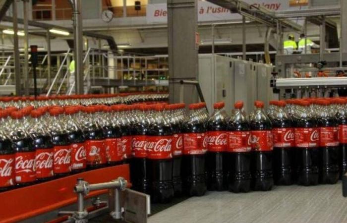 Olympische Spiele 2024 in Paris: Die NGO France Nature Environnement reicht eine Beschwerde gegen Coca-Cola wegen „Greenwashing“ ein