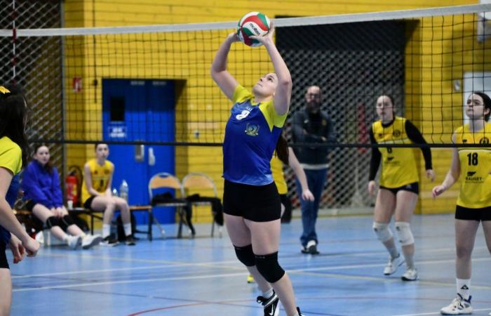 VOLLEYBALL: Nur die Männer von Le Creusot haben gewonnen… Die Frauen haben alles verloren…