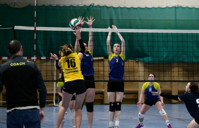 VOLLEYBALL: Nur die Männer von Le Creusot haben gewonnen… Die Frauen haben alles verloren…