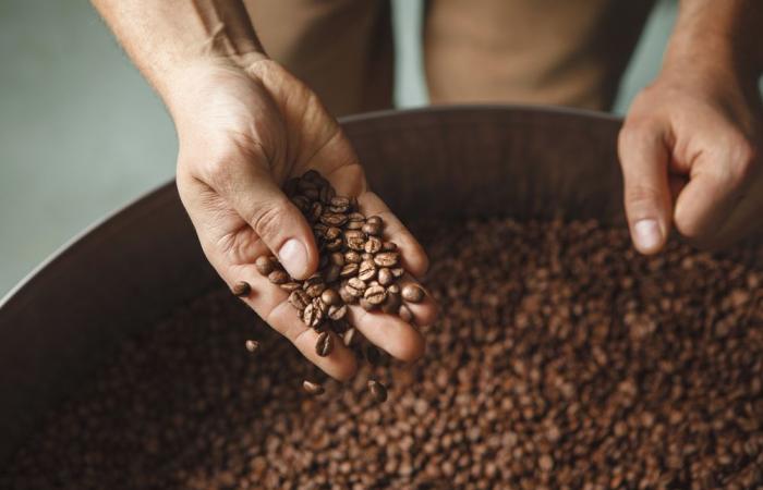 Der Kaffeepreis droht in den kommenden Monaten zu explodieren