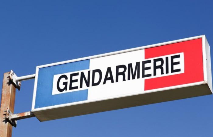 Ein in Grenoble festgenommener Mann, der verdächtigt wird, in den Fall des „Verschwindenlassens aus Isère“ verwickelt zu sein