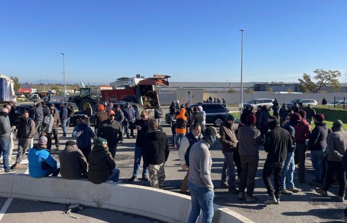 GARD Agriculture: vier Gründe zum Vorzeigen