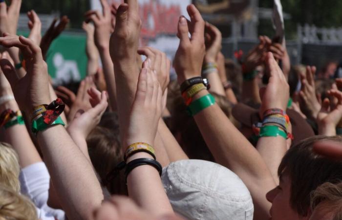 Les Vieilles Charrues 2025: baldige Bekanntgabe der Vornamen