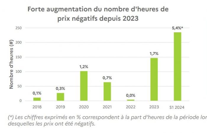 Analyse und Empfehlungen der CRE zum Phänomen negativer Strompreise – pv magazine France