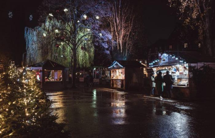 Die 10 Gebote zum Überleben auf dem Straßburger Weihnachtsmarkt, Ausgabe 2024