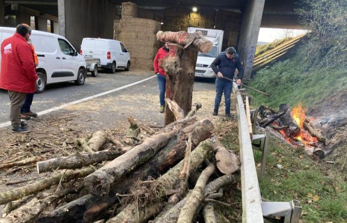 DIREKT. Die Wut der Agrarwelt lässt im Val de Loire und im Poitou nicht nach