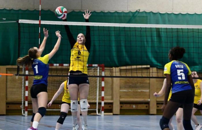 VOLLEYBALL: Nur die Männer von Le Creusot haben gewonnen… Die Frauen haben alles verloren…