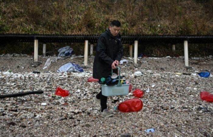 Auf einer chinesischen Insel wird Plastikmüll zu Kunstwerken recycelt: Nachrichten