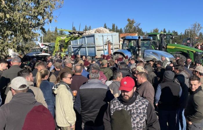 GARD Agriculture: vier Gründe zum Vorzeigen