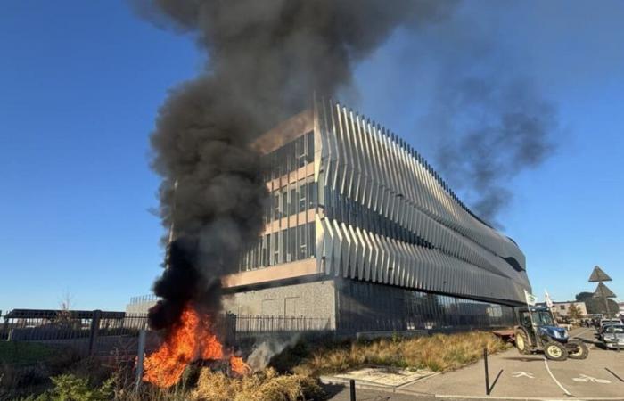 Der Präfekt verurteilt die Ausschreitungen der Bauern in Nîmes aufs Schärfste – Nachrichten – Nîmes – Agrarkrise – Justiz