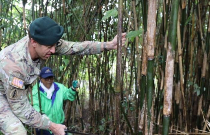 USAG Japan unterstützt lokale Organisation bei der Bambusernte, um die Erhaltung der japanischen Kultur zu unterstützen > US-Indopazifik-Kommando > Nachrichtenartikelansicht