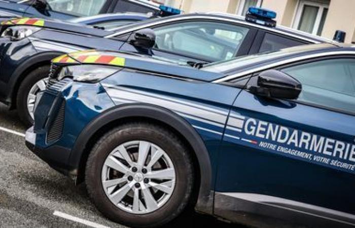 Polizeigewahrsam eines Mannes, der verdächtigt wird, 1988 und 2000 in Isère an zwei Erkältungsfällen beteiligt gewesen zu sein