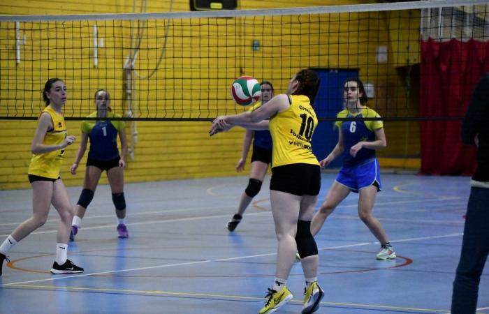 VOLLEYBALL: Nur die Männer von Le Creusot haben gewonnen… Die Frauen haben alles verloren…