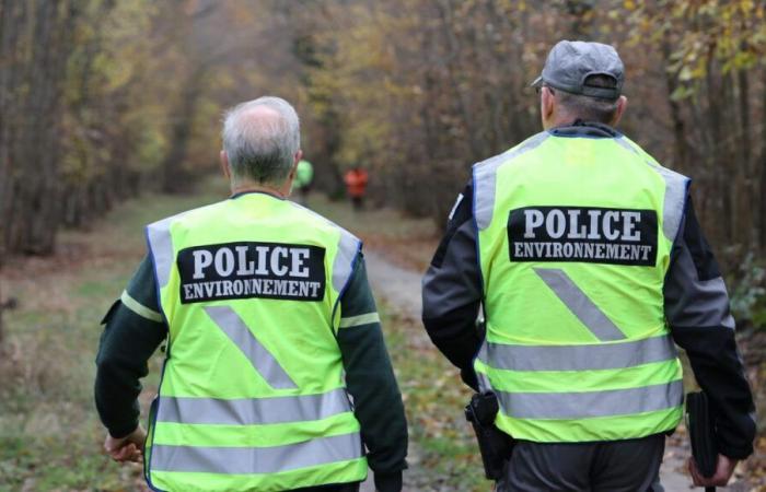 Geplünderte Räumlichkeiten, Drohungen gegen Agenten: Warum kristallisiert sich im französischen Amt für Artenvielfalt die Wut der Landwirte heraus?