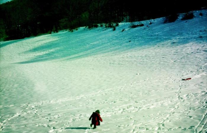 „Snow Trails“ von Kev Lambert: Einführung in die Metamorphose