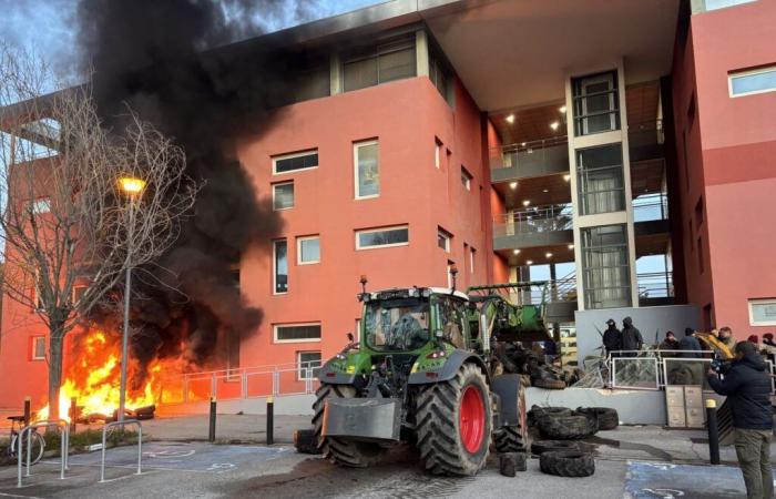 In Nîmes und Saint-Gilles haben die Bauern im Gard ihren Ton verschärft – Nachrichten