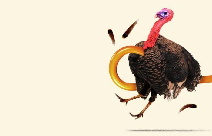 Thanksgiving sollte im Oktober stattfinden