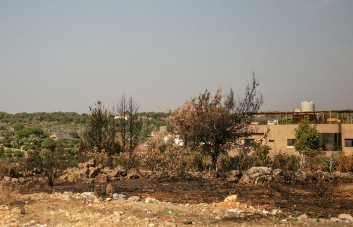 Trotz des Waffenstillstands sind libanesische Bauern davon überzeugt, dass Israel sie „von hier vertreiben“ will.