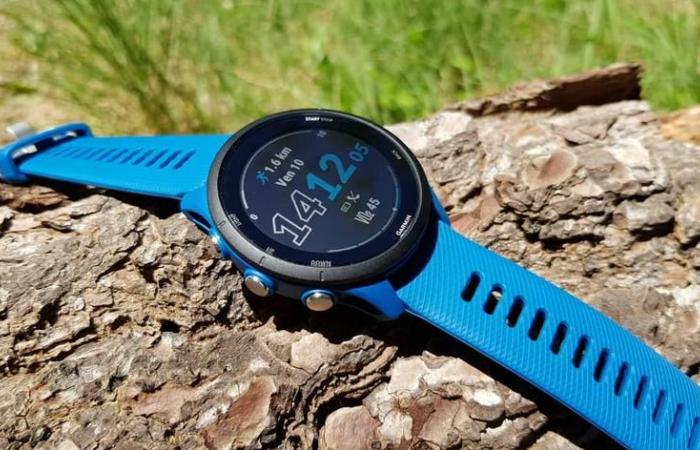 Beta 21.19-Update für die Garmin Forerunner Smartwatch