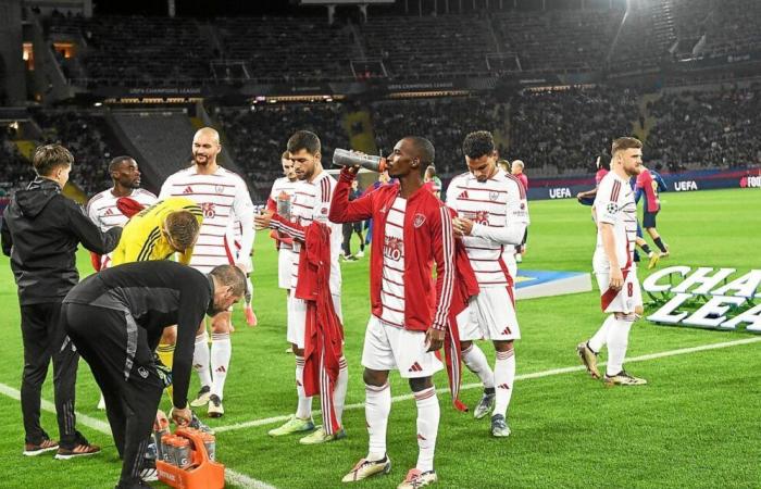 Nach dem Barcelona-Fieber hat Stade Brestois bereits durch die L1 und den Empfang von Straßburg aufgeholt