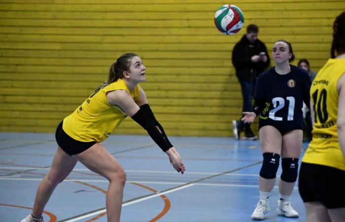 VOLLEYBALL: Nur die Männer von Le Creusot haben gewonnen… Die Frauen haben alles verloren…