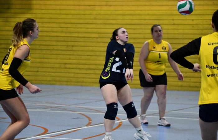 VOLLEYBALL: Nur die Männer von Le Creusot haben gewonnen… Die Frauen haben alles verloren…