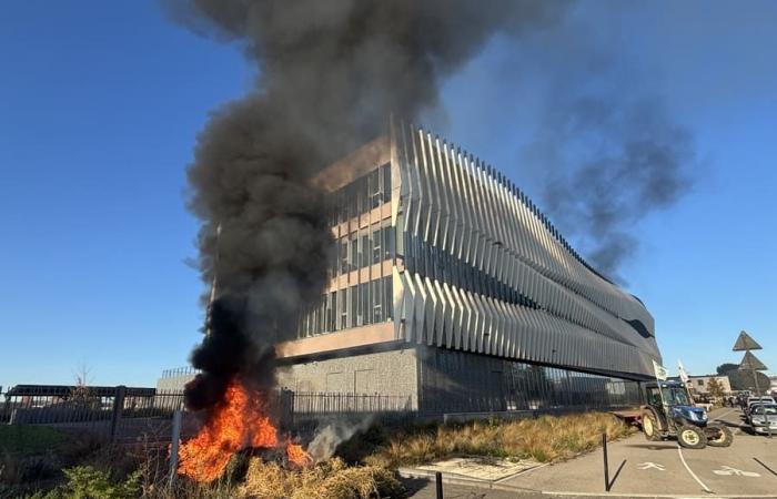 In Nîmes und Saint-Gilles haben die Bauern im Gard ihren Ton verschärft – Nachrichten