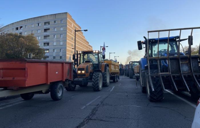 GARD Agriculture: vier Gründe zum Vorzeigen